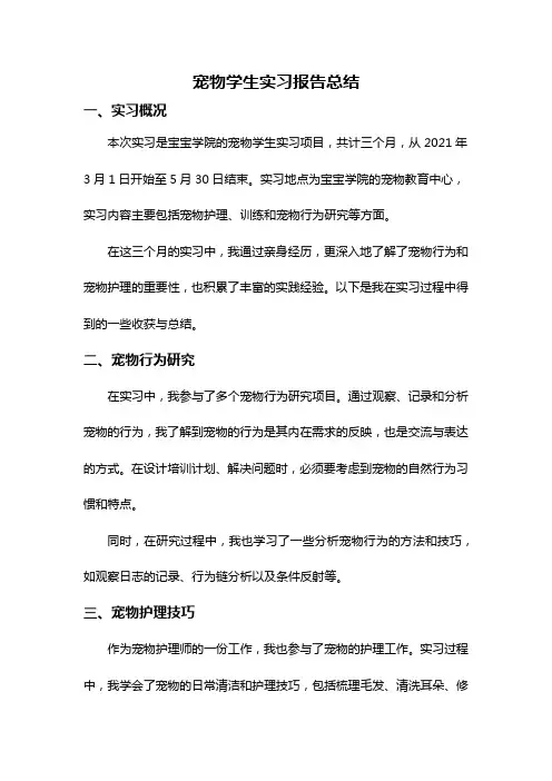 宠物学生实习报告总结