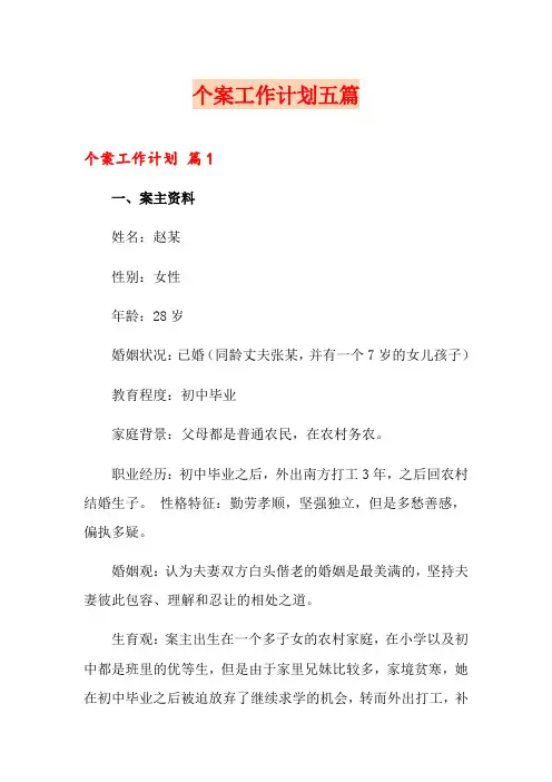 个案工作计划五篇