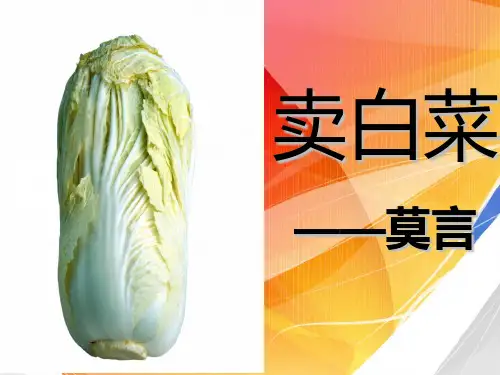 《卖白菜》课件(共26张PPT)