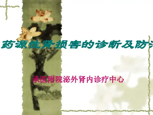 药源性肾损害的诊断及