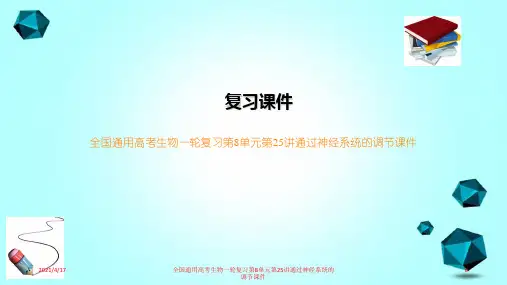 全国通用高考生物一轮复习第8单元第25讲通过神经系统的调节课件