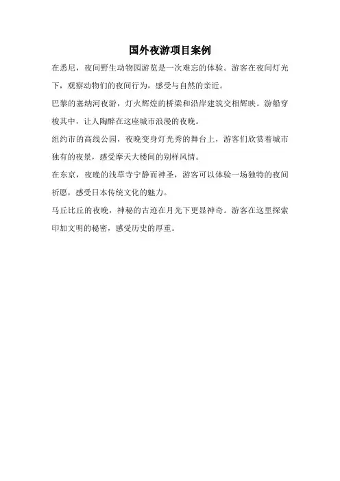 国外夜游项目案例