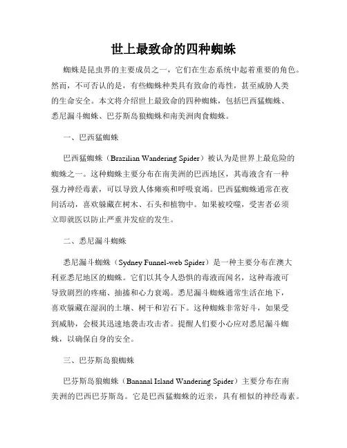 世上最致命的四种蜘蛛