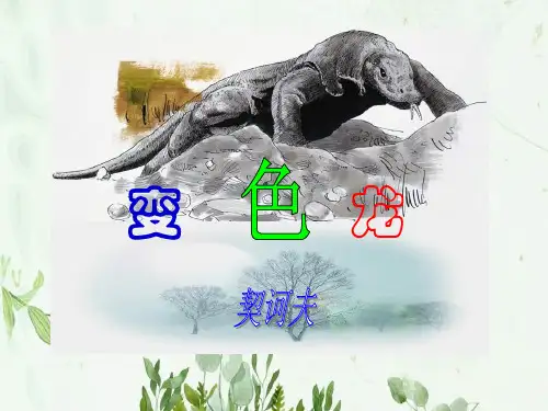 《变色龙》4PPT课件 图文