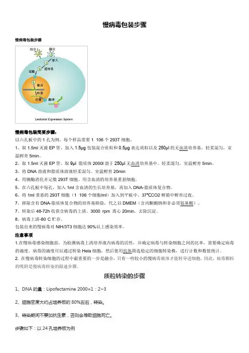 慢病毒包装步骤
