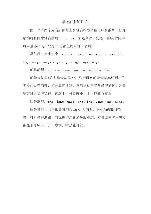 鼻韵母有几个