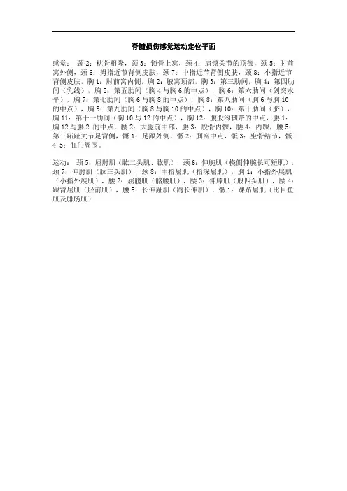脊髓损伤感觉运动定位平面