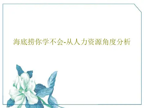 海底捞你学不会-从人力资源角度分析26页PPT