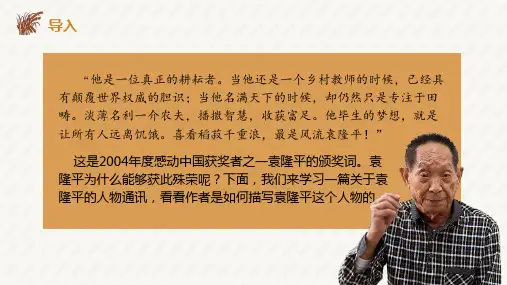 《喜看稻菽千重浪》课件PPT