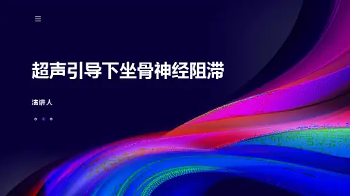 超声引导下坐骨神经阻滞