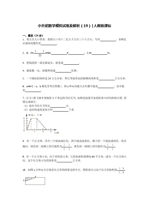 【精品】小升初数学模拟试卷及解析 人教新课标 (19)