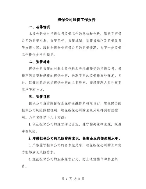 担保公司监管工作报告