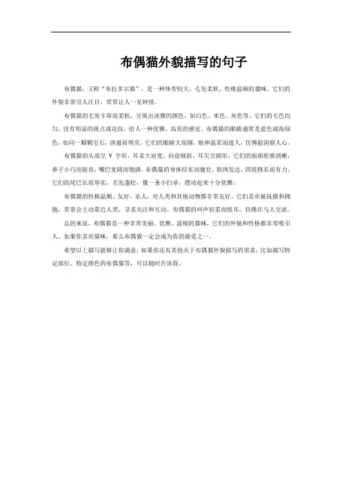 布偶猫外貌描写的句子