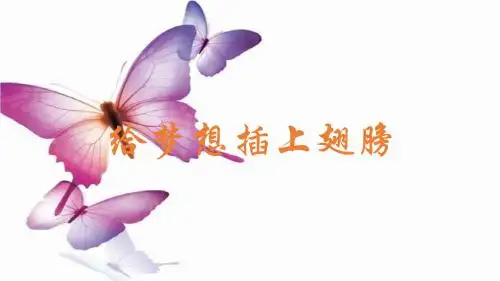 给梦想插上翅膀班会课件