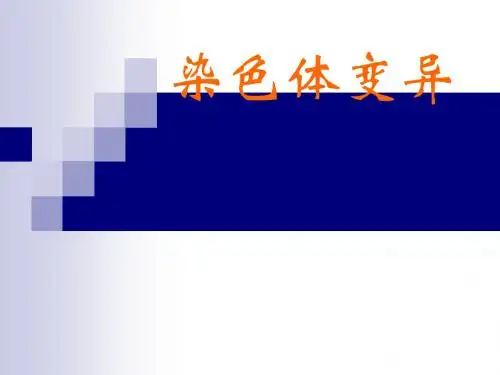 《染色体变异》PPT课件35 人教版