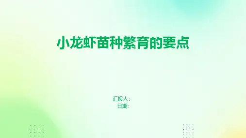 小龙虾苗种繁育的要点
