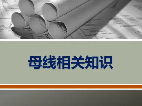 母线