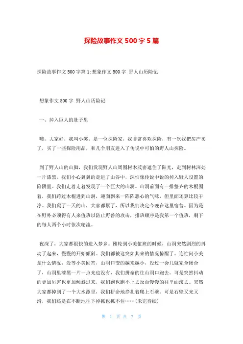 探险故事作文500字5篇