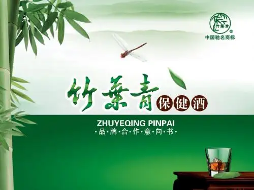 竹叶青-保健酒品牌整合营销规划方案-精品文档