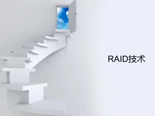《RAID技术资料》ppt课件
