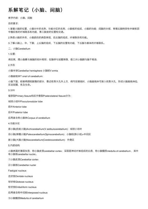 系解笔记（小脑、间脑）