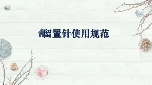留置针使用规范ppt课件