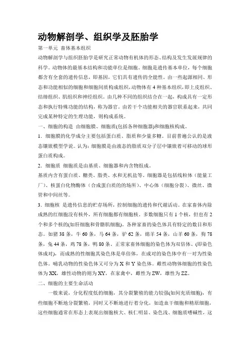 动物解剖学