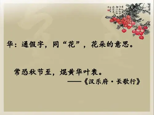 五年级上册语文课件 荔枝图序
