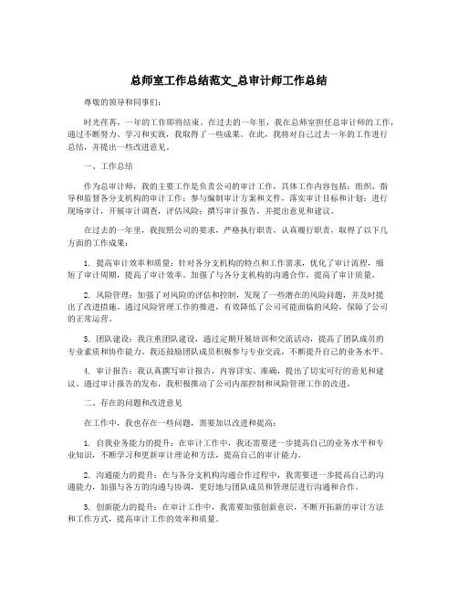 总师室工作总结范文_总审计师工作总结