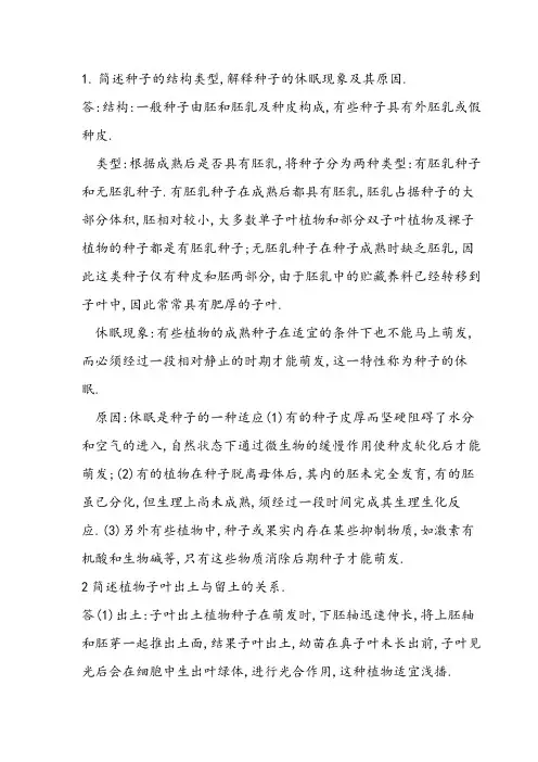 简述种子的结构类型