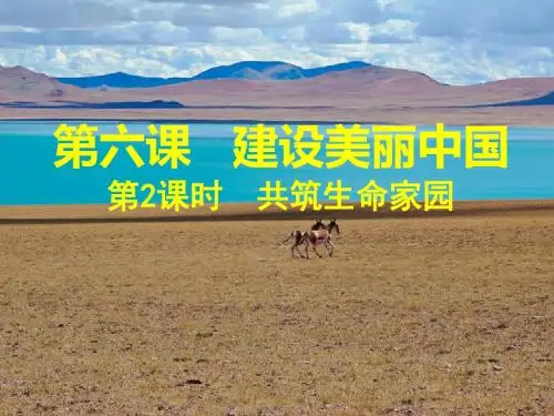 部编人教版初中九年级上册道德与法治《第六课建设美丽中国：共筑生命家园》优质课课件_1