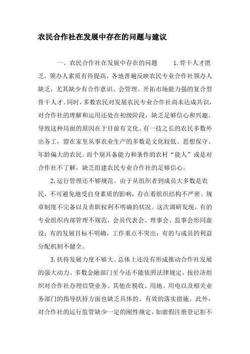 农民合作社在发展中存在的问题与建议-文档资料
