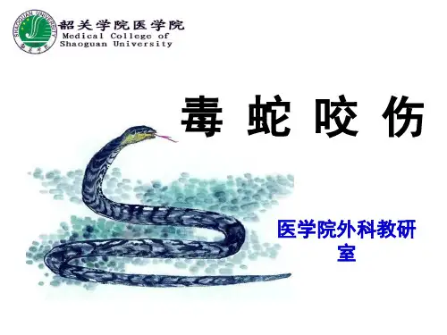 急救-毒蛇咬伤