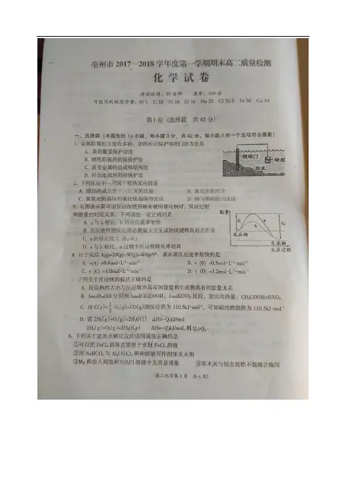 安徽省亳州市高二上学期期末质量检测化学试卷