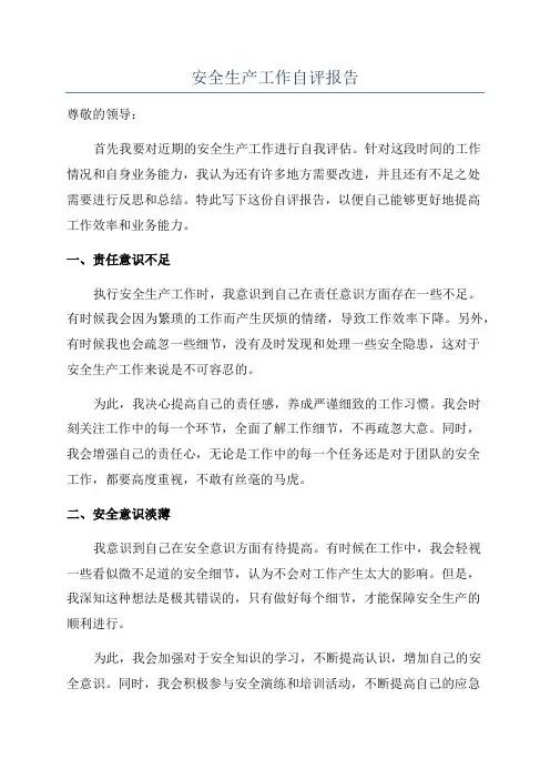 安全生产工作自评报告