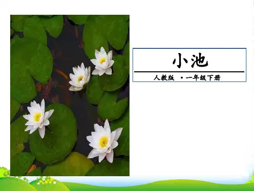 人教部编版一年下册语文课件-12 小池 (共16张PPT)
