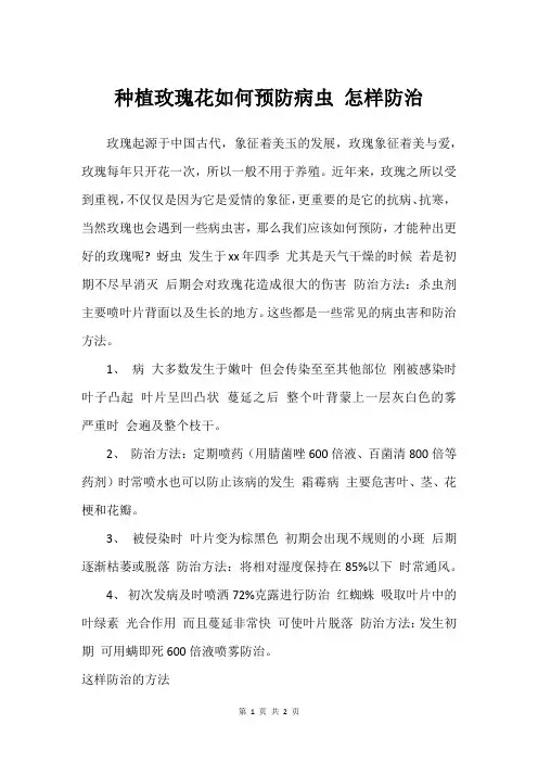 种植玫瑰花如何预防病虫 怎样防治
