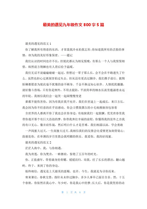 最美的遇见九年级作文800字5篇