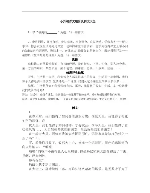 小升初作文题目及例文大全