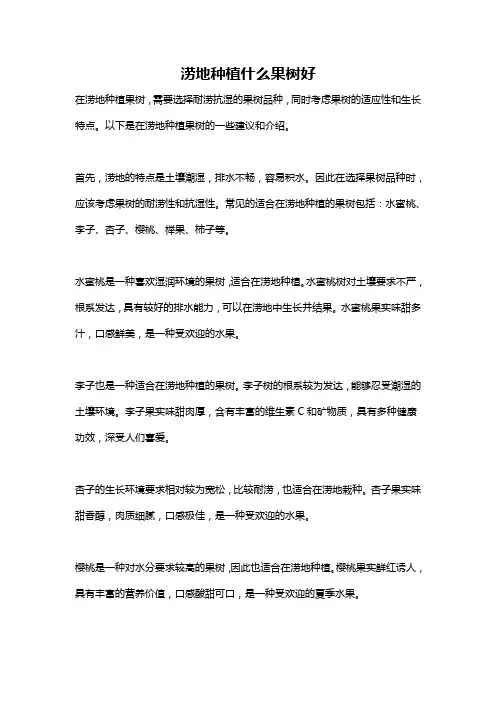 涝地种植什么果树好