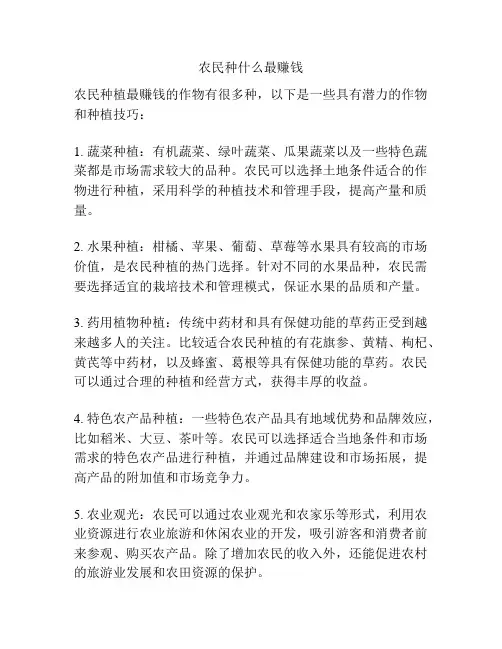 农民种什么最赚钱