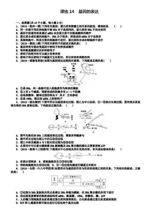 2019高三生物一轮复习课练14 基因的表达 Word版含解析