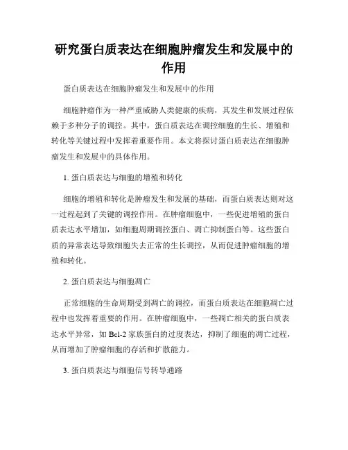 研究蛋白质表达在细胞肿瘤发生和发展中的作用