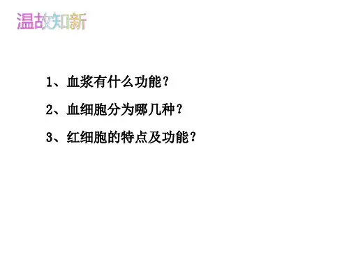 第二节血流的管道——血管 课件  2021-2022学年人教版七年级生物下册