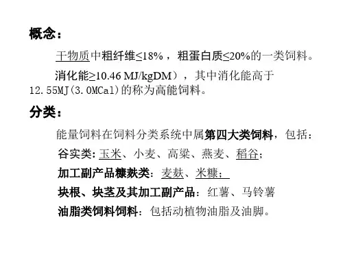 第15章能量饲料