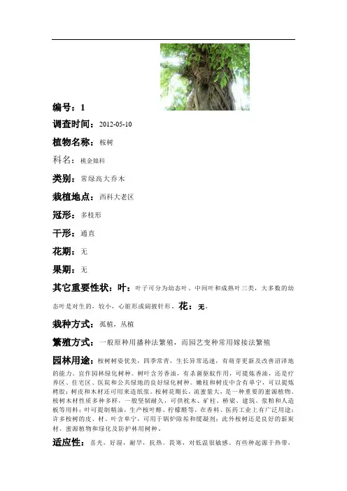 园林植物调查记录卡31118