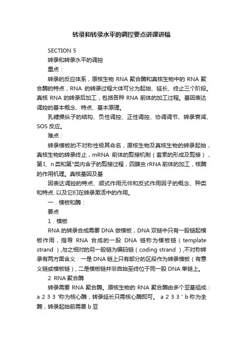 转录和转录水平的调控要点讲课讲稿