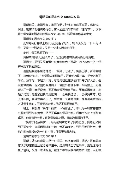 清明节的思念作文600字5篇