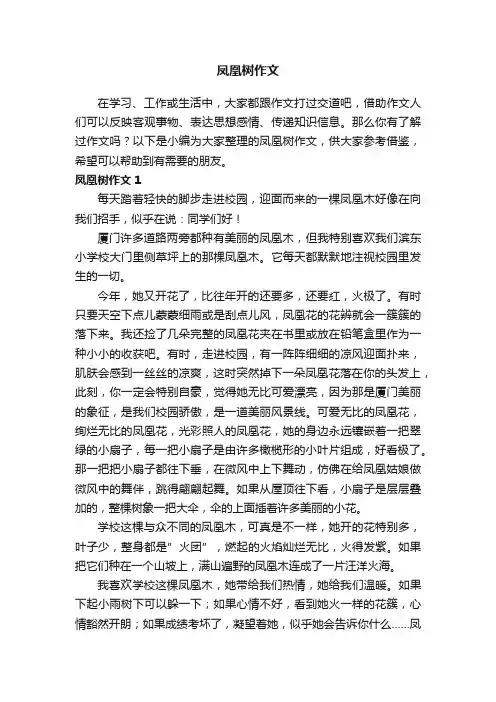 凤凰树作文（13篇）