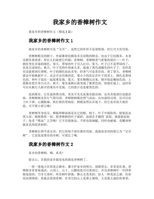 我家乡的香樟树作文